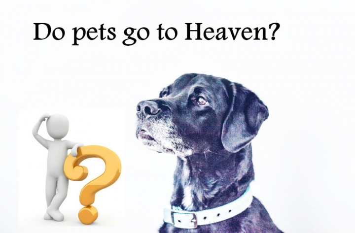 Image from Ken Reid on Unsplash