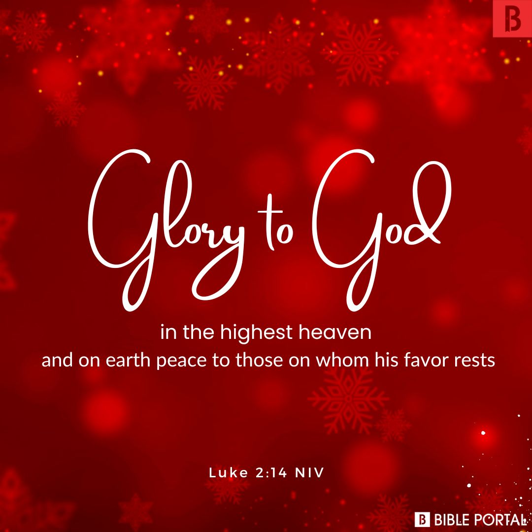 Luke 2:14 NIV